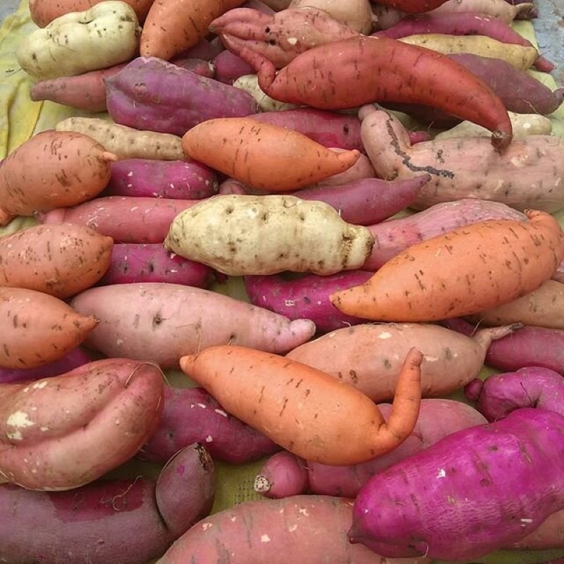 c'est quoi la patate douce