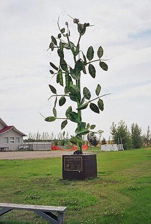 Monumento a los guisantes de azúcar