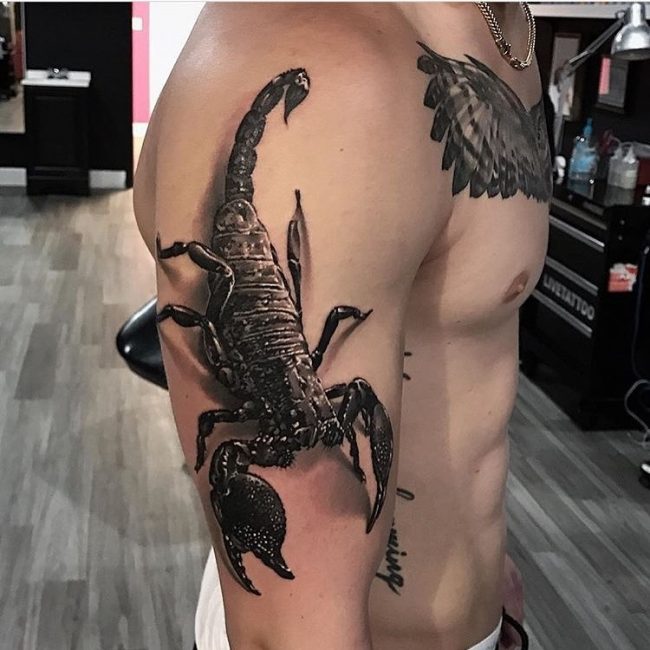 Scorpion Tattoos - TOP 150 der Rangliste - für jeden Geschmack und Stil, wählen Sie Ihre! Knallhart