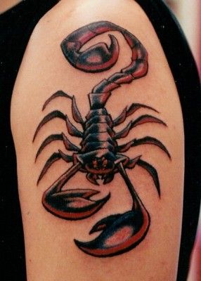 Skorpion-Tattoos - TOP 150 der Rangliste - für jeden Geschmack und Stil, wählen Sie Ihre! Knallhart