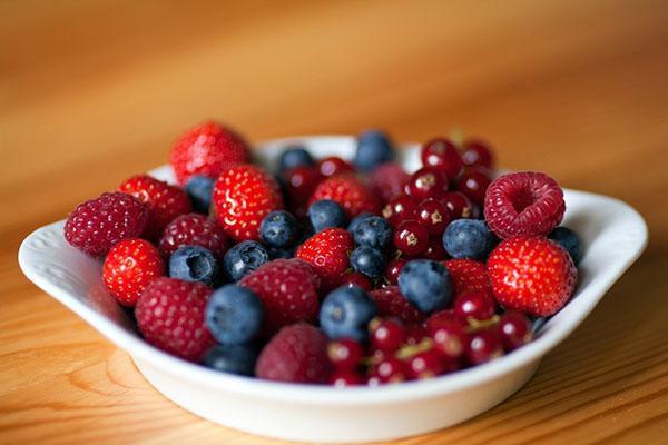 baies pour nourrir les perroquets