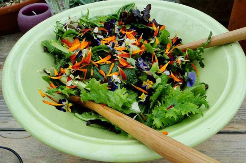 ensalada de vitaminas