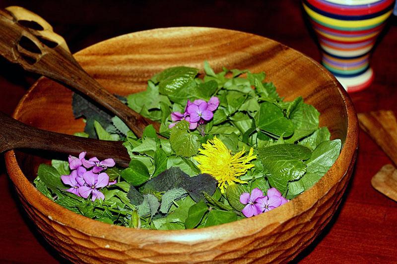 ensalada de flores comestibles