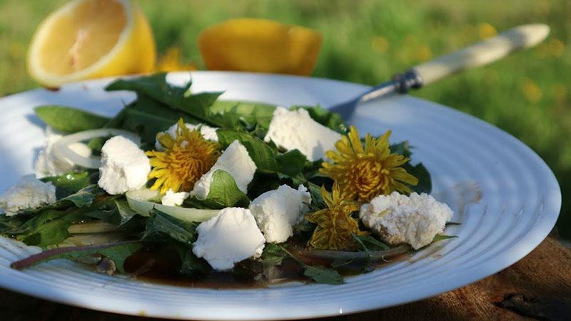 ensalada de flores de diente de león