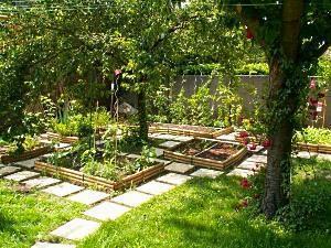 Que planter dans un chalet d'été?