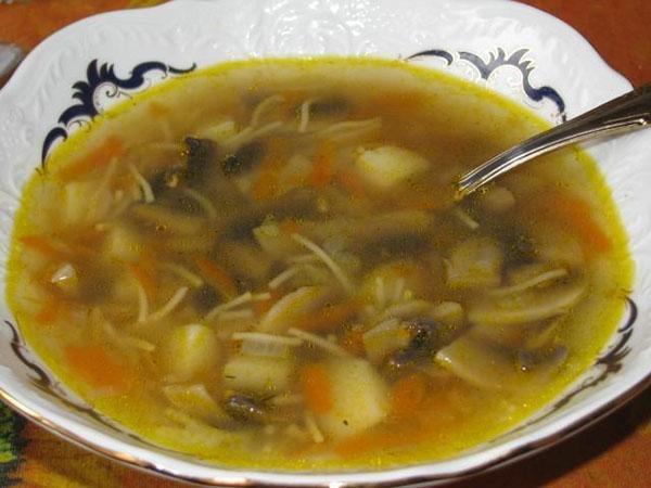 soupe aux champignons avec bouillon de poulet