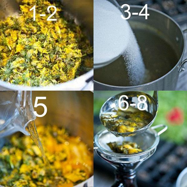 etapas de elaboración del vino