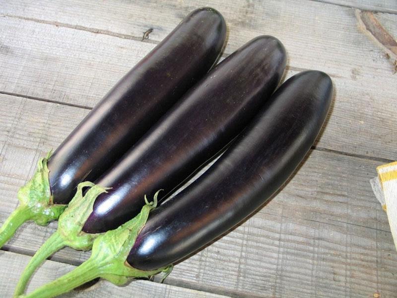 fruit d'aubergine