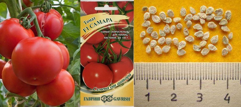 Semillas de tomate Samara