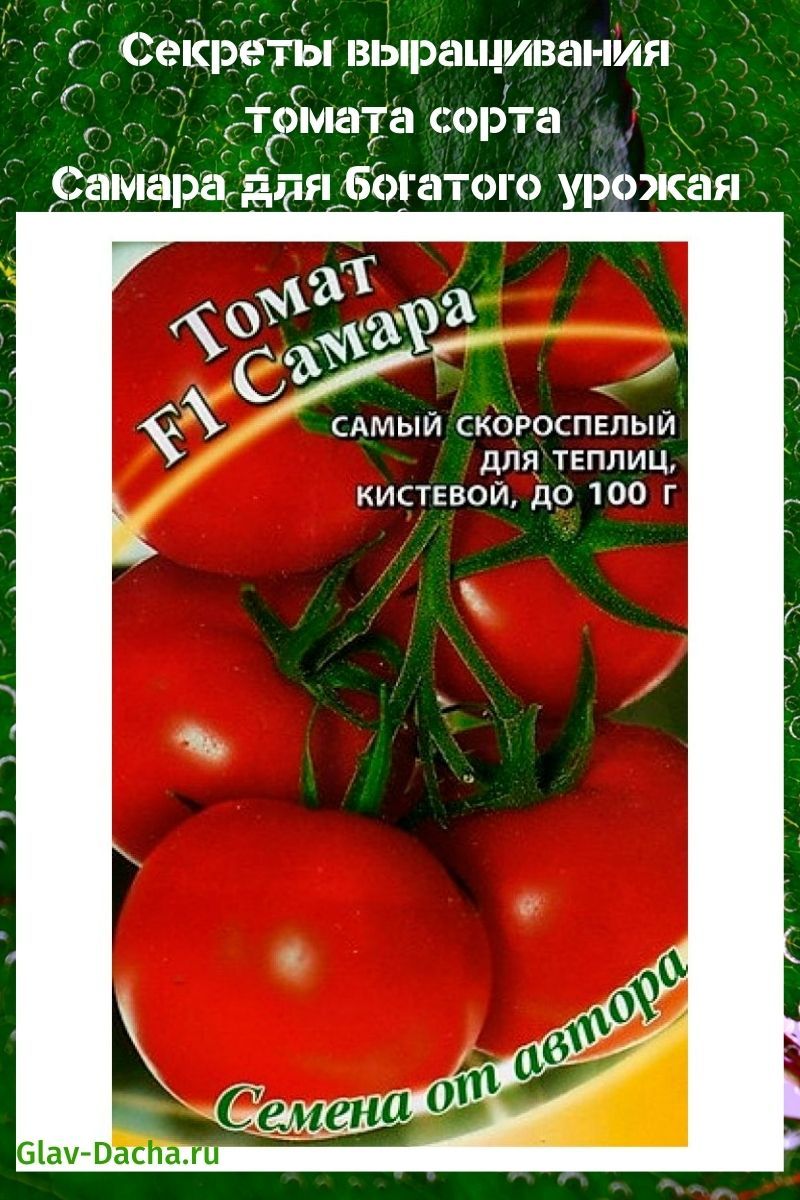 Tomate samara