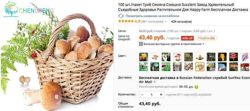 graines de champignons sur Aliexpress