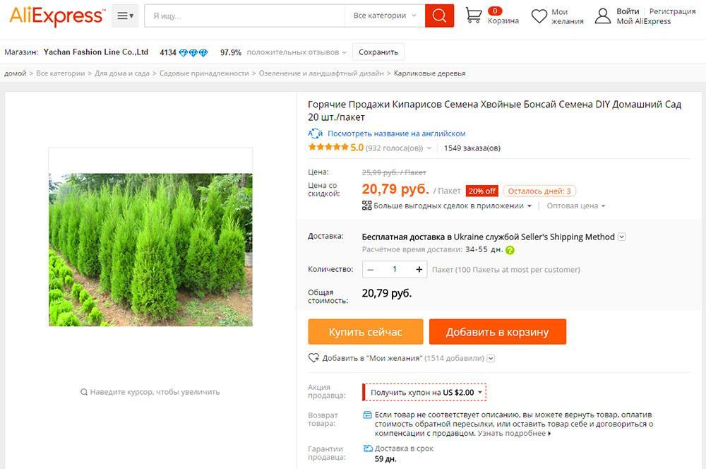 semillas de ciprés en Aliexpress