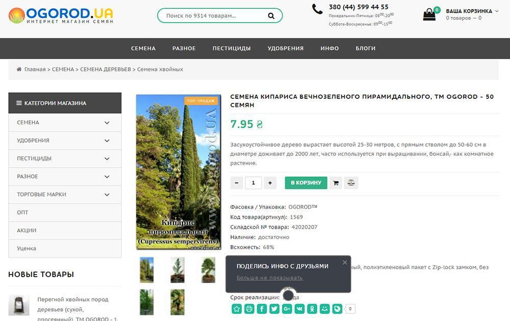 semillas de ciprés en ogorod-ua