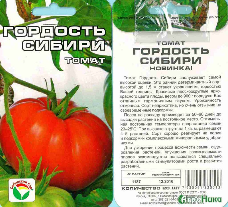 tomate para invernadero el orgullo de Siberia