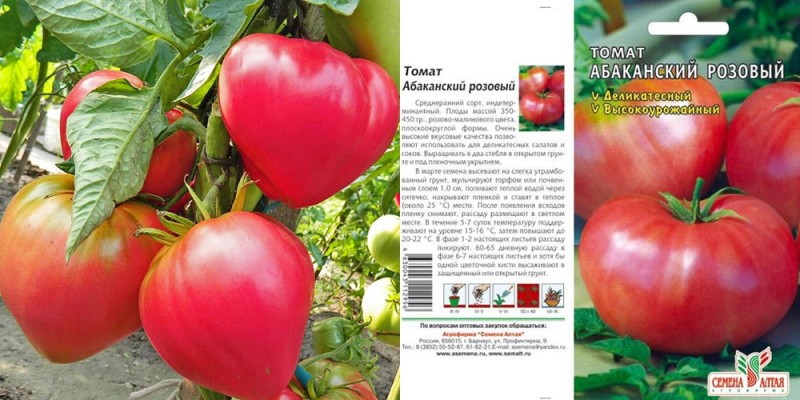 tomate abakan rosa