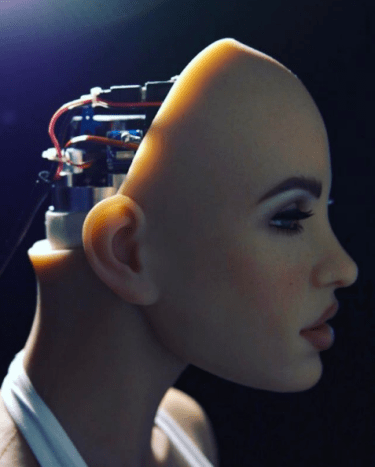 Unternehmen wie Realbotix haben Sexroboter entwickelt, die vollständig von KI automatisiert werden und radikal neue Funktionen enthalten – wie beispielsweise erwärmte Kammern und eine Auswahl an unterschiedlichen Persönlichkeitsmerkmalen.