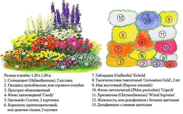 Esquema de jardín de flores n. ° 2