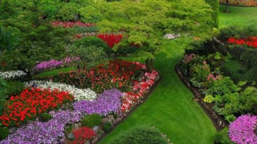 Beau parterre de fleurs de longue durée