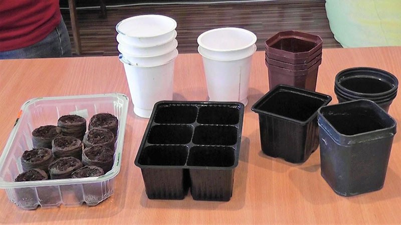 désinfection des pots de semis