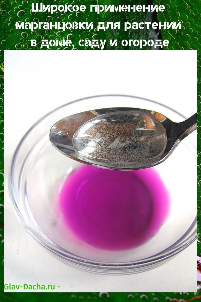 l'utilisation du permanganate de potassium pour les plantes