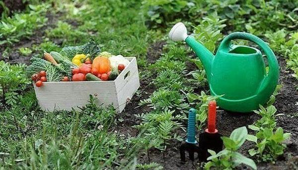 ¿Cómo es útil la rotación de cultivos?
