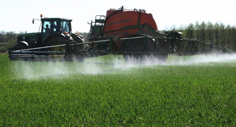 traitement du blé contre les mauvaises herbes avec des herbicides