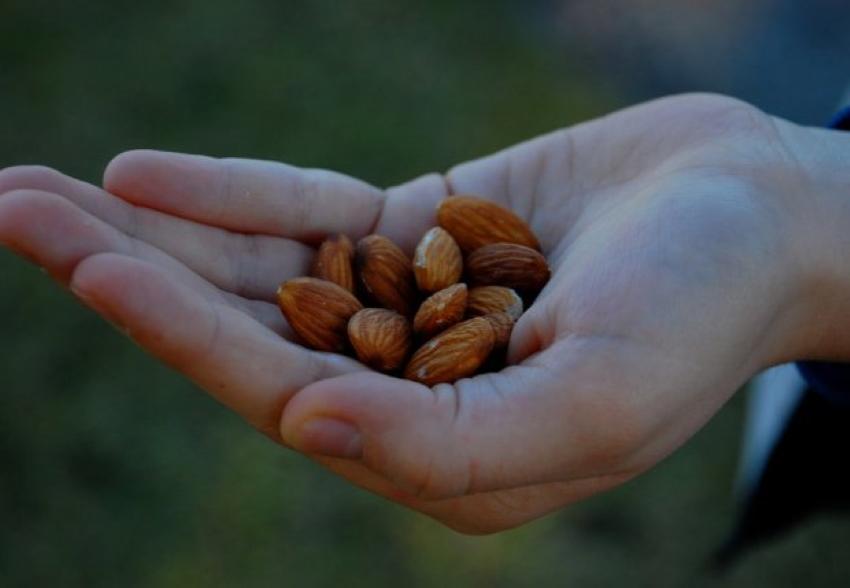 ingesta diaria de almendras