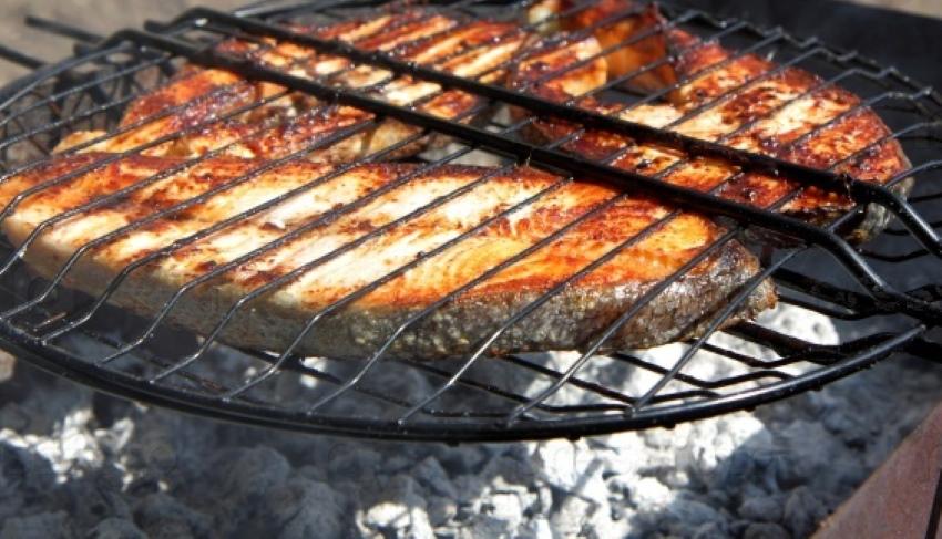 steaks de poisson grillés