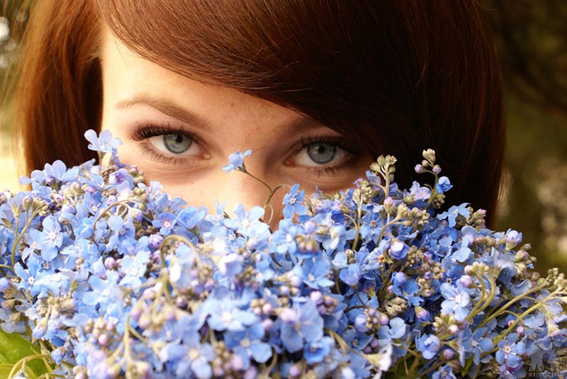 forêt myosotis pour l'âme