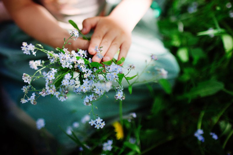 bouquet de myosotis