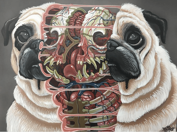 Foto přes nychos Ilustrace od @nychos