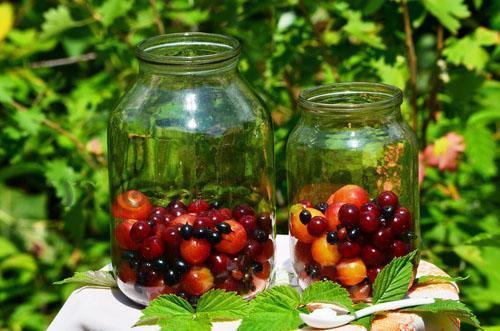 assiette de fruits et baies