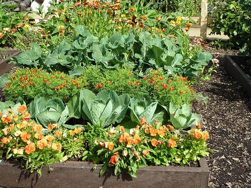 flores y verduras cercanas