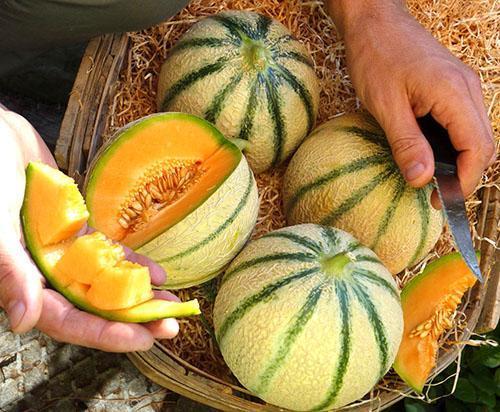 L'un des fruits à faible teneur en calories