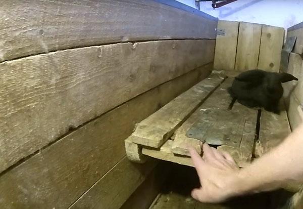 enclos à lapins en bois
