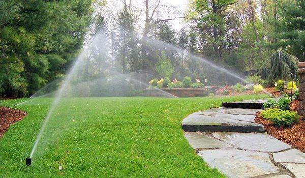 garder le jardin au chaud