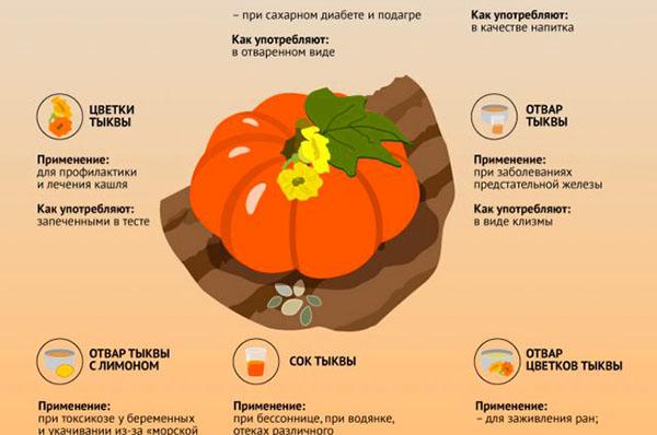 calabaza útil