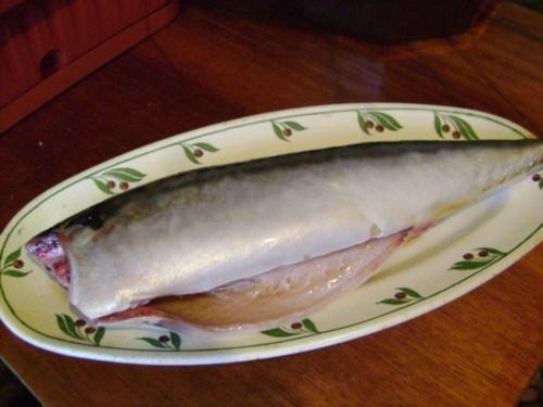 carcasse
