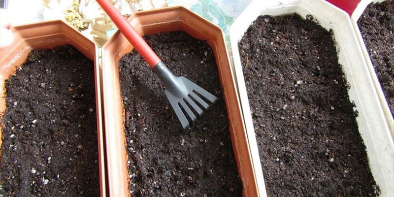 preparación del suelo para el cultivo de plántulas