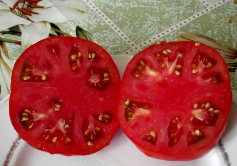 Patte d'ours aux fruits de tomate