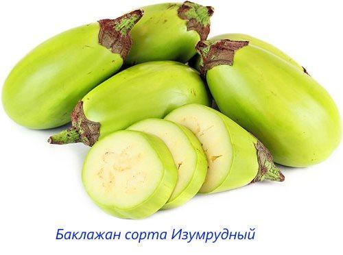 Variedades de berenjena Esmeralda