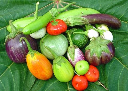 Fruits longs, ronds et ovales