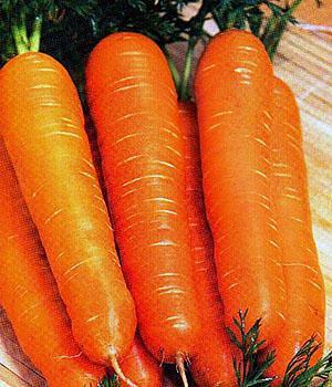 Zanahorias de Nantes