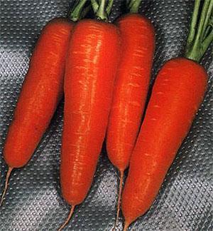 Vitamine de carotte