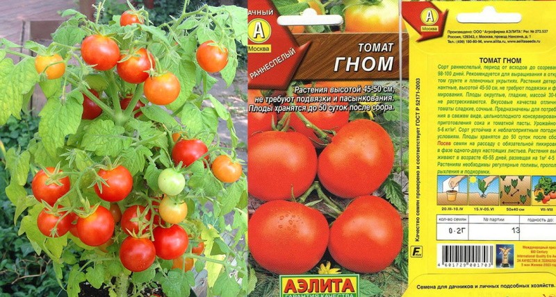 nain de tomate