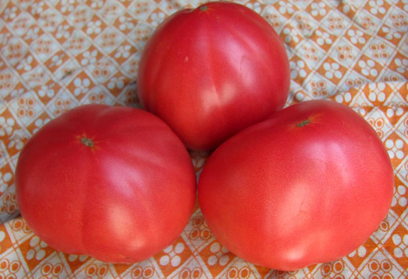 cadeau de grand-mère de tomates