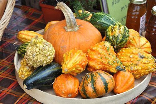 Calabaza decorativa