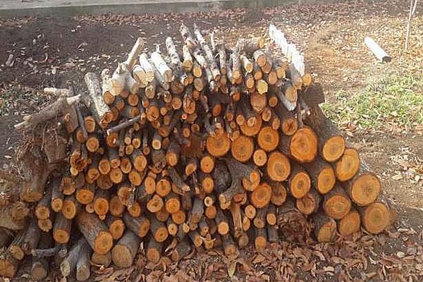 bois de chauffage