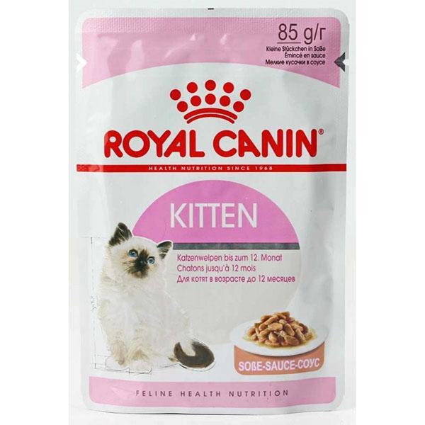 nourriture royale canin pour chatons