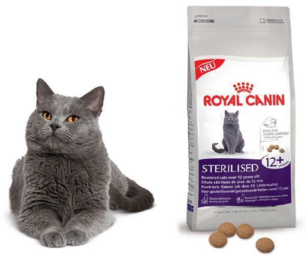comida para gatos royal canin